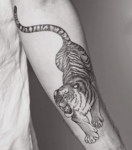 Tiger Tattoo Design