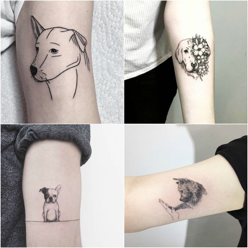 Buy Dog Tattoos Watercolor Animal Temporary Tattoos Poodle Tattoo Online in  India  Etsy