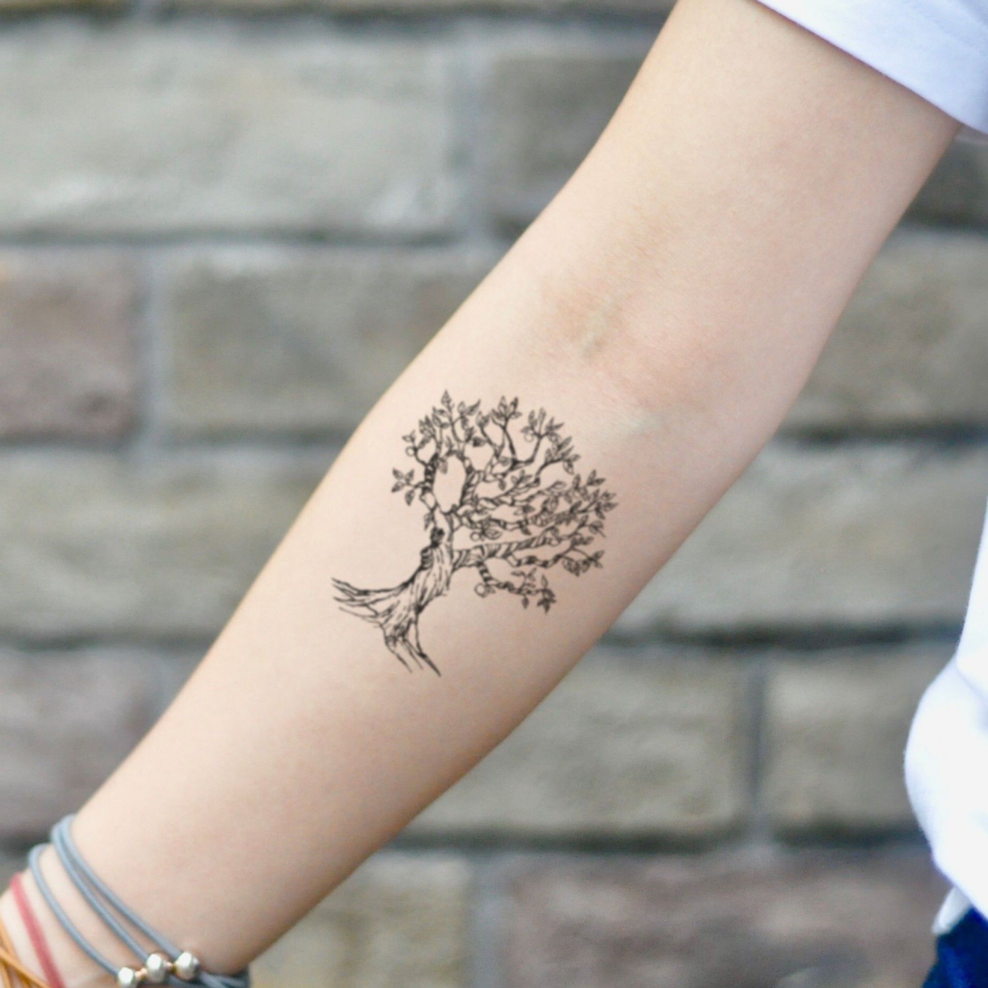 Fig Tree Of Life Tattoo