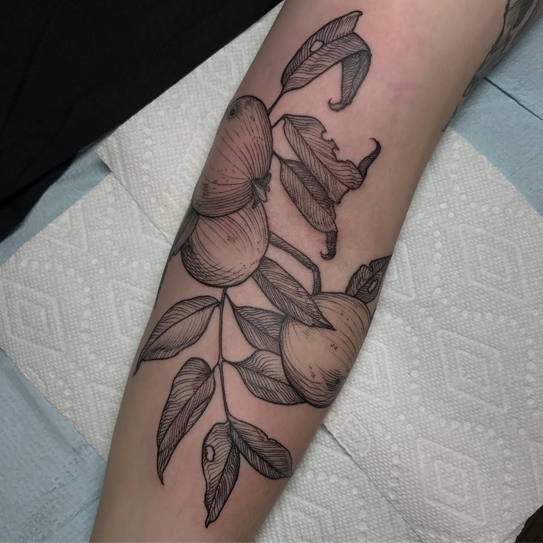 Wall nut Tree tattoo