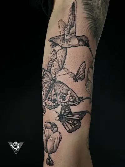 Tattoos of Hummingbird Moths