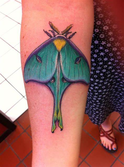 Colorful Hummingbird Moth Tattoo