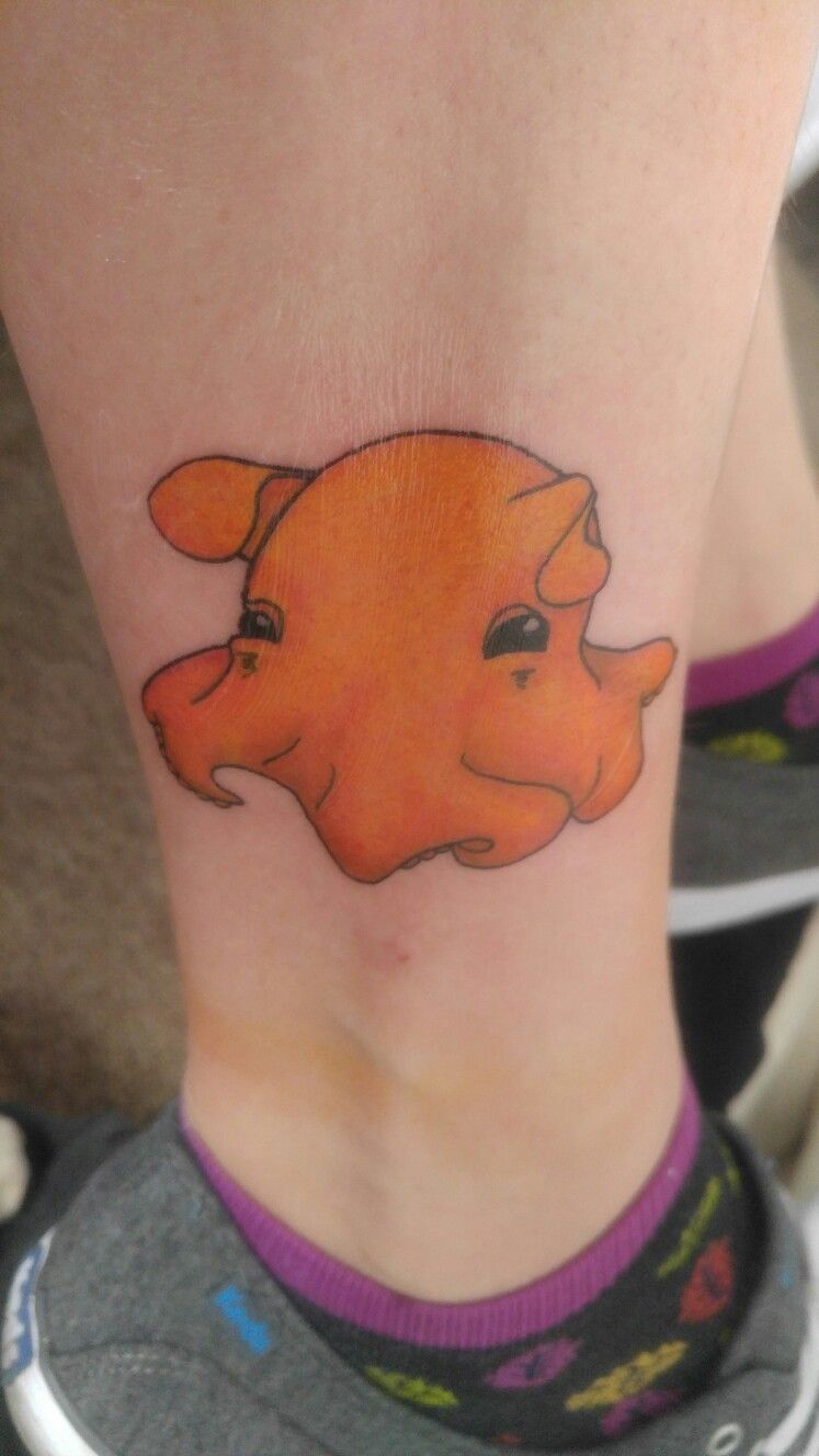 Dumbo Octopus Tattoo