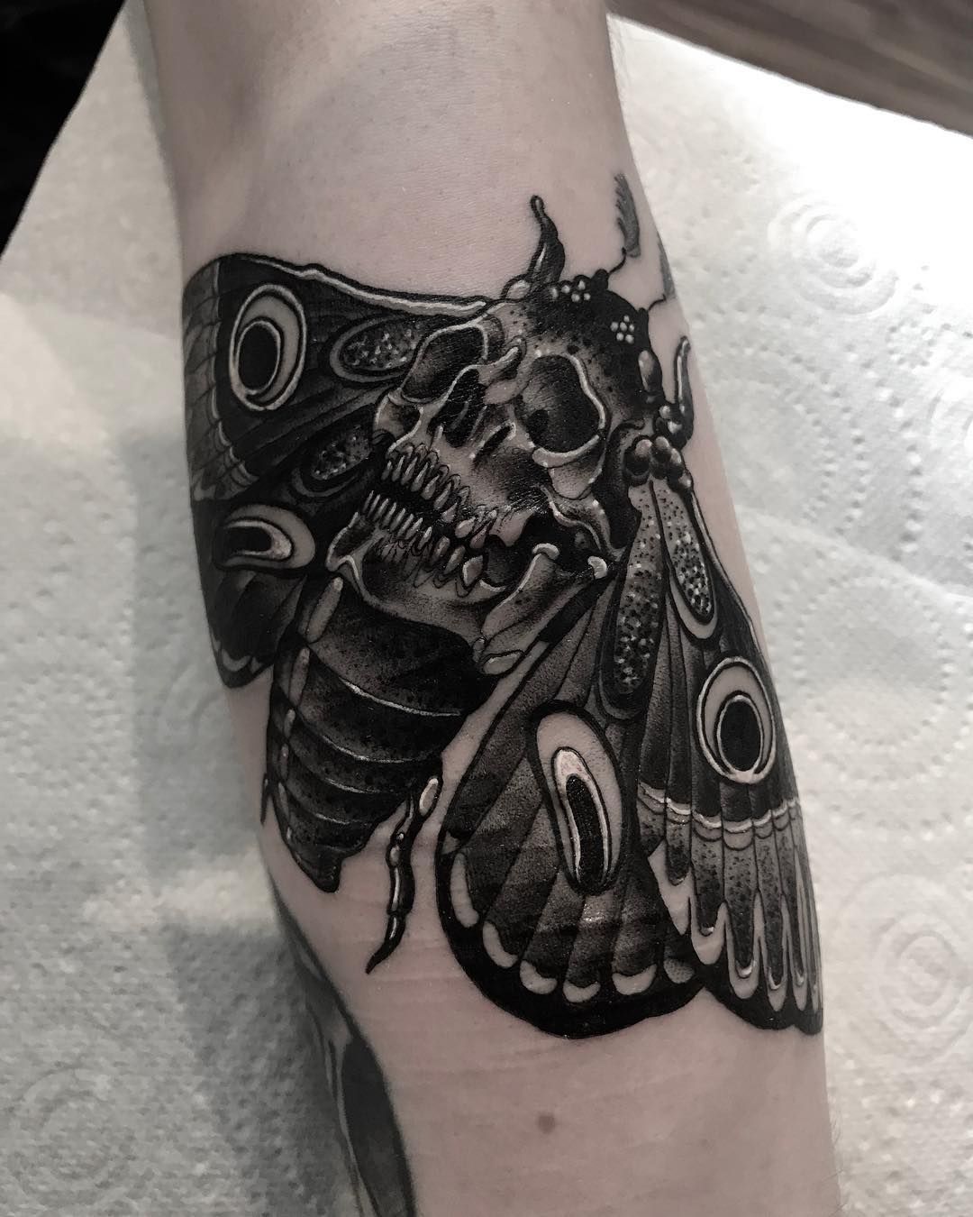 Moth with Skull Tattoo