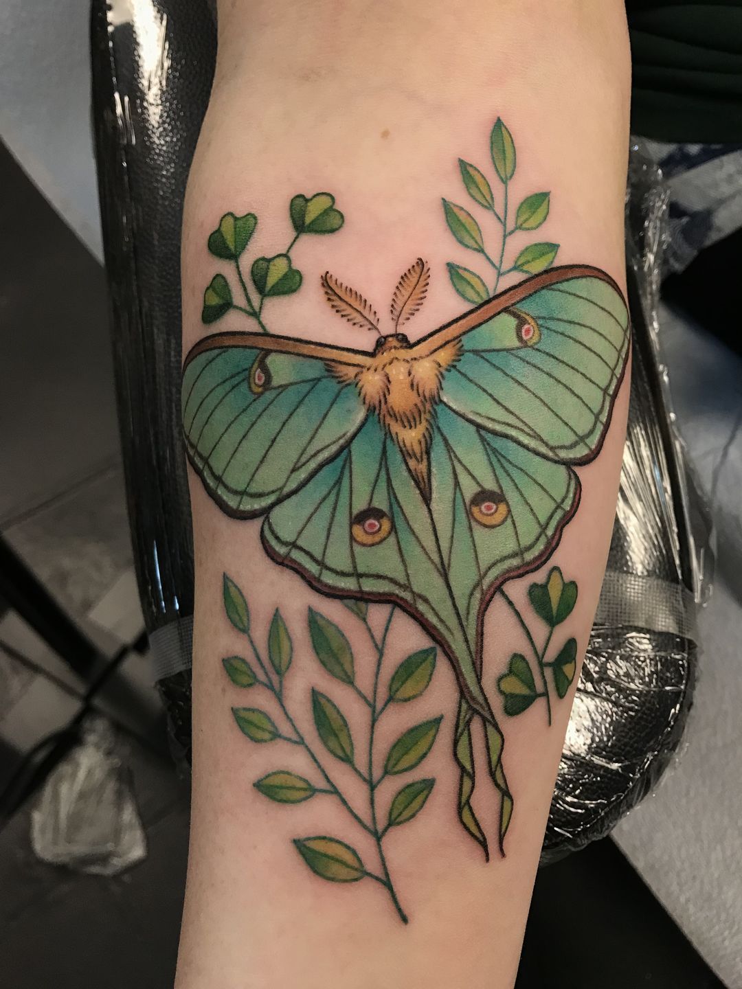 Neo Traditional Luna Moth Tattoo