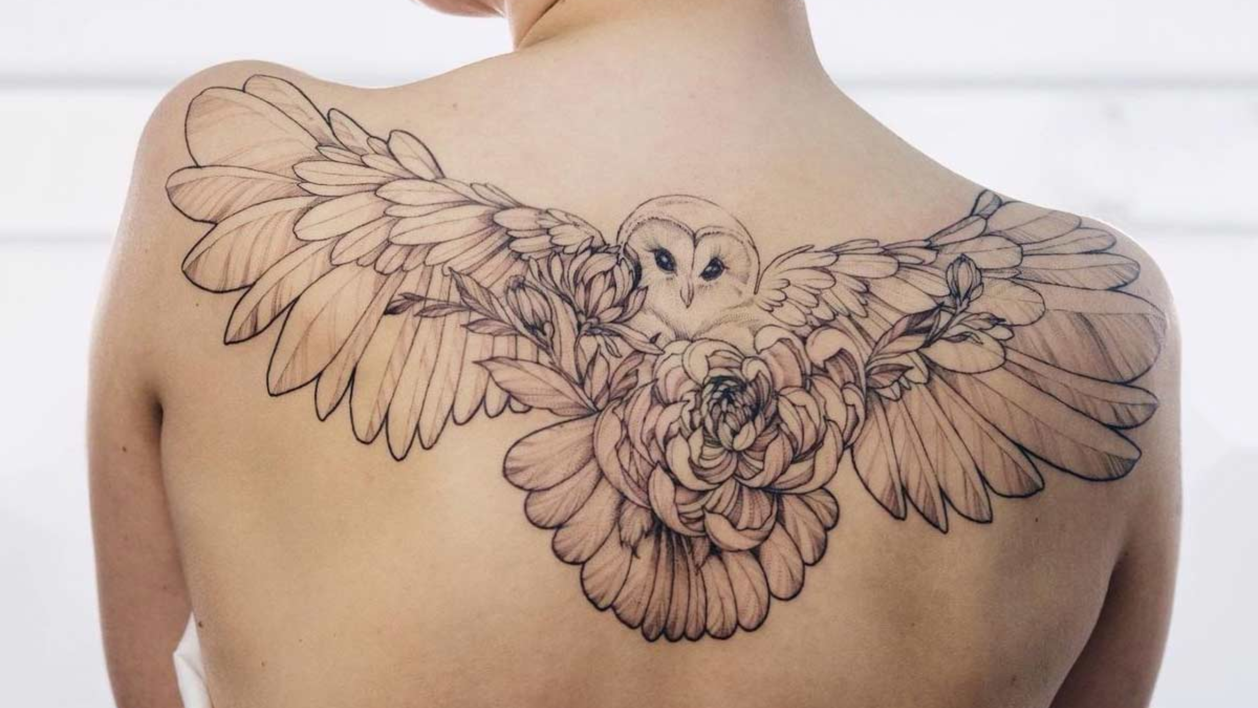 Finished owl tattoo by Shane Tyner  Lucky tattoo in San Diego will post  just the outline in the comments  rtattoos