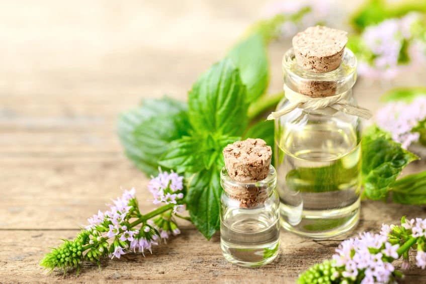 Anti-Dandruff Peppermint Oil