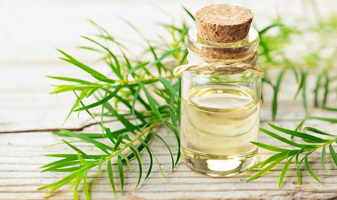 Anti-Dandruff Tea Tree Oils