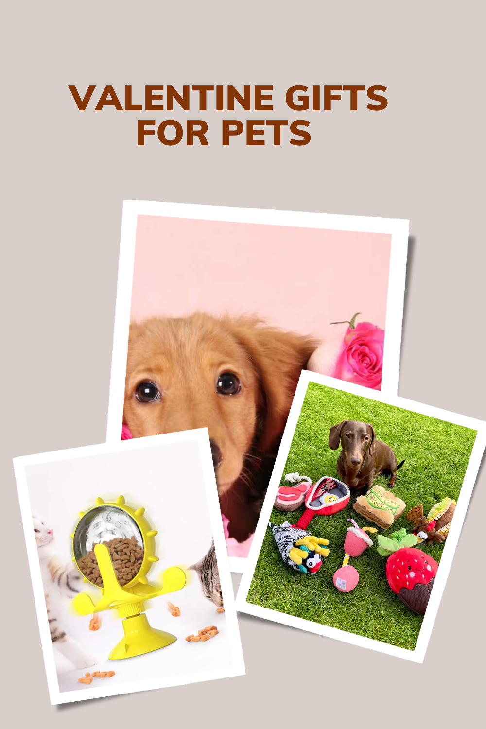 valentine day gift for pets