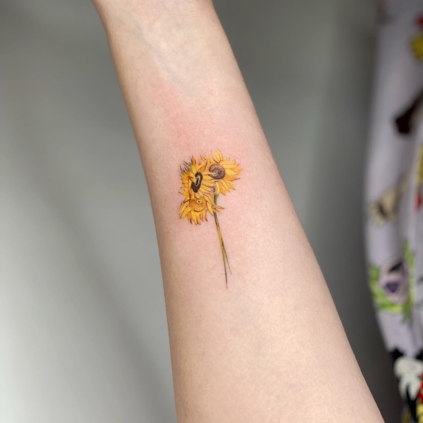  Minimalist Sunflowers By Van Gogh 