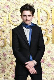 Timothée Chalamet 